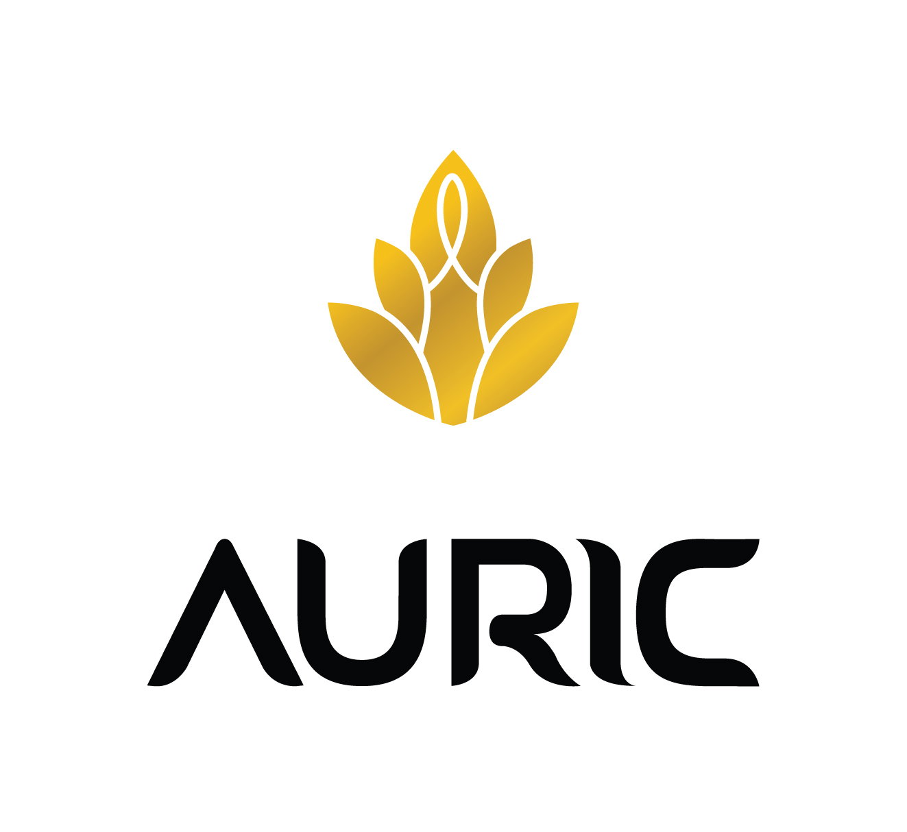 The Auric